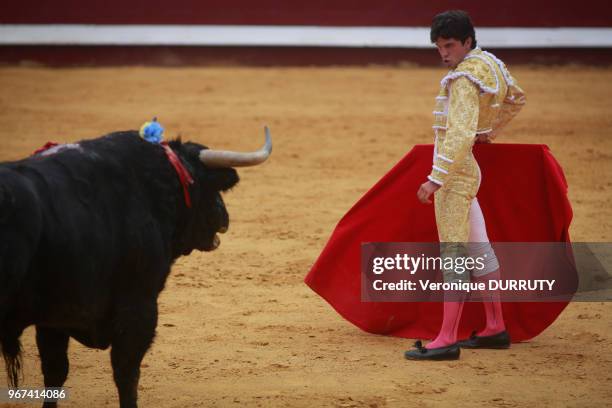 Corrida aux fetes de Dax, France : le Torero Juan del Alamo, en habit de lumiere rose et or, à la faena de muleta.