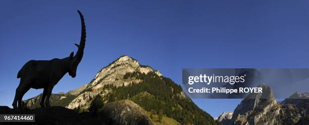 Sculpture of ibex in Pralognan village, national park of Vanoise, Savoy, Alps, France.