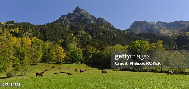 Vuzelle mountain near Pralognan village, national park of Vanoise, Savoy, Alps, France.