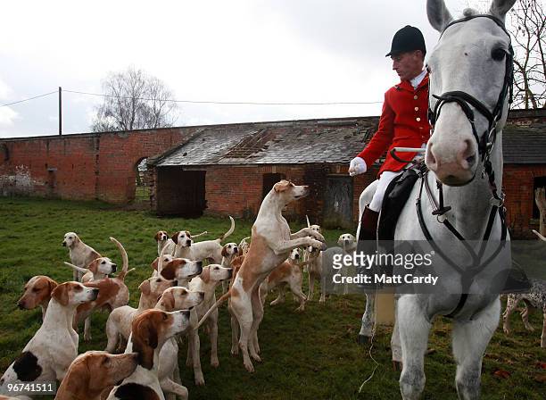 Nick Bycroft, Kennel Huntsman with the Avon Vale hunt throws a treat to the hounds prior to riding out from a hunt meet near Trowbridge on February...