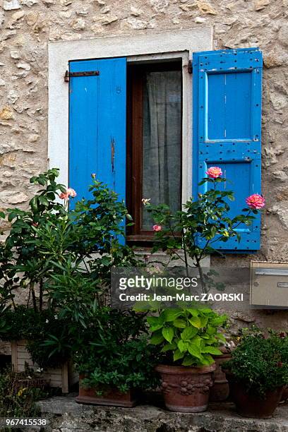 Détail, pots de fleurs et fenêtre, village de Saint-Martin-de-Bromes, Alpes-de-Haute-Provence, France.
