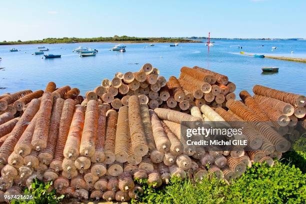 Collecteurs pour la fixation des naissains , 18 avril 2017 dans le golfe du Morbihan, Séné, Bretagne sud, France.