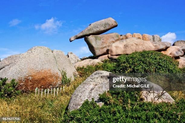 Rochers de granit rose, ici la bouteille renversée, Ploumanach, Cotes d'Armor, France.