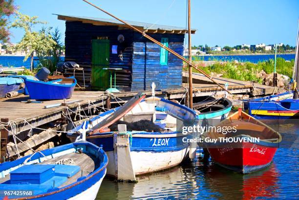 Vieux bateaux de pêche, Etang de Thau, Bouzigues.