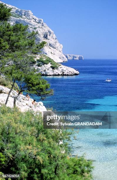 The 'Calanques' Near Marseille . France.