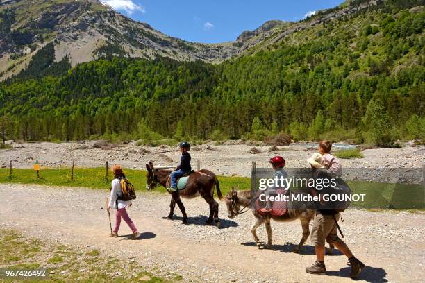 Tourisme équestre dans la vallée de Gavarnie.