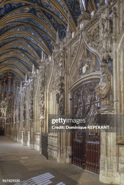 La ville d'Albi, vue interieure de la cathedrale Sainte-Cecile, detail exterieur de la cloture du choeur et de sa statuaire polychrome...