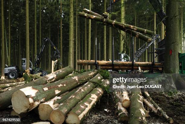 Libramont. Bois de Paliseul. 73eme ?dition de la Foire agricole et forestiere. Demonstrations de materiels forestiers.