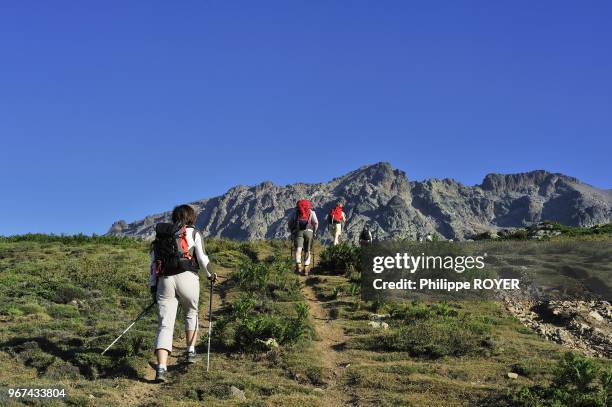 Going to the top of monte Cinto, higest summit of Corsica island, France.