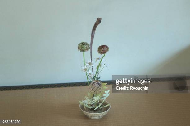 ikebana and  flower arrangement - otaku stock pictures, royalty-free photos & images