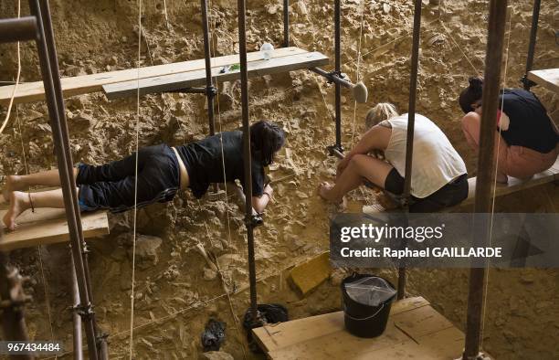 98 foto e immagini di Homo Heidelbergensis - Getty Images