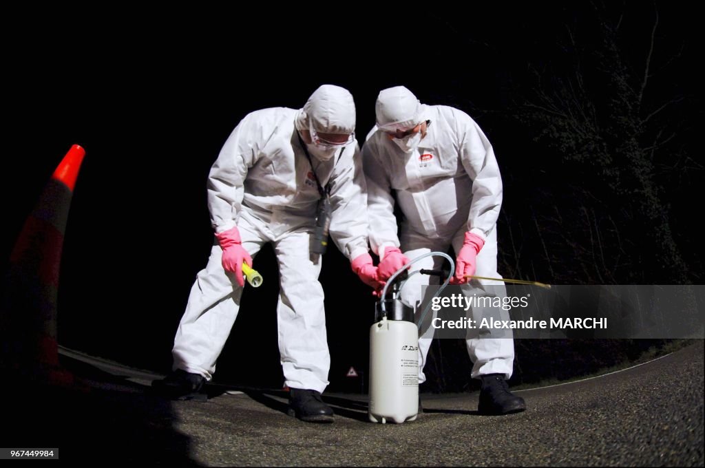 Suspected turkey farm struck by H5N1 bird flu in the Ain region.