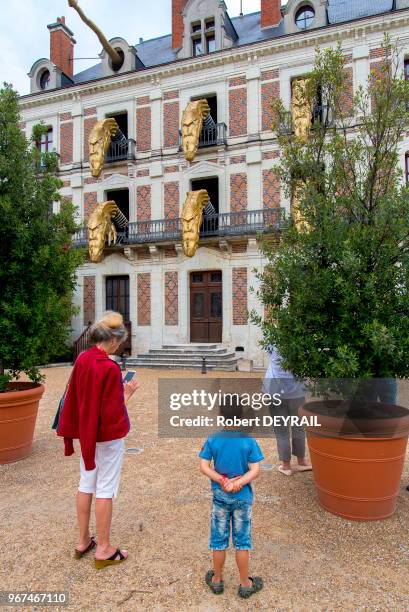 Touristes regardant les marionnettes dragons sortir des fenêtres de la maison de la magie à Blois le 25 Juillet 2017, France.