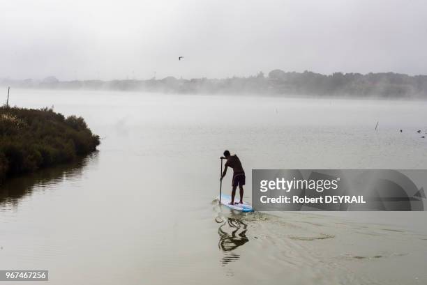 Vacancier pratiquant le paddle sur l'étang de Péroles embrumé par les entrées maritimes, 29 juin 2016, Hérault, France.