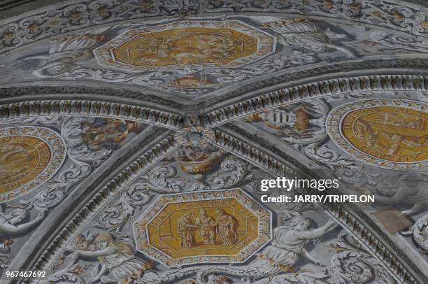 The former convent of the Visitandines Sainte Marie d en Haut, chapel of the Visitation, ceiling and wall paintings of Toussaint Largeot, Dauphinois...