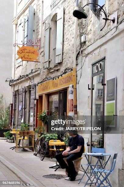 Bouches-du-Rhone Provence, Massif des Alpilles, Saint-Re?my-de-Provence, bar restaurant.