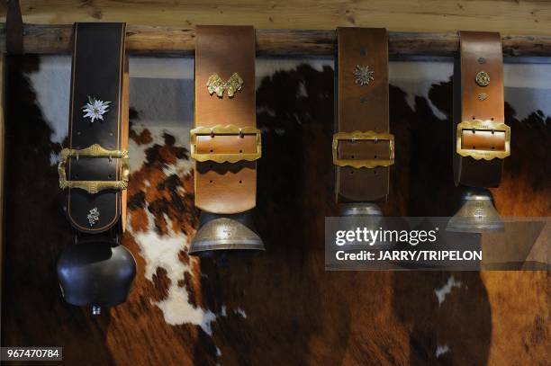 Bells cattle, La Dez Alp restaurant, Morzine ski resort, Portes du Soleil skiing area, region of Chablais, Haute-Savoie department, Rhone-Alpes...