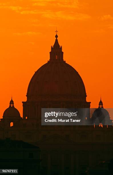 silhouette of a cathedral - vatican photos et images de collection