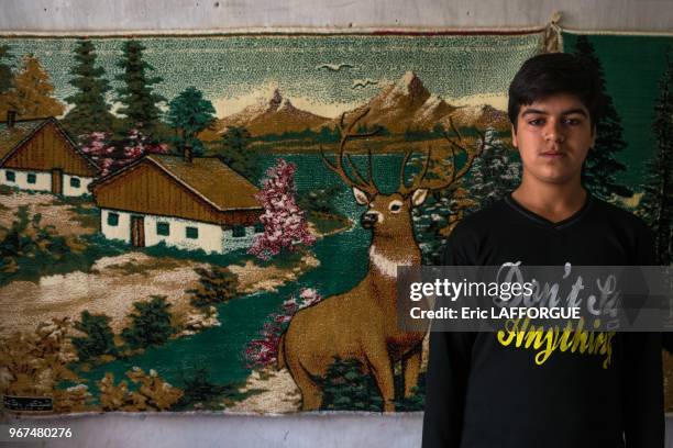 An afghan refugee teenager in front of a carpet on a wall displaying a swiss landscape, isfahan province, kashan, Iran on October 21, 2015 in Kashan,...