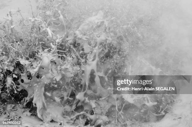 Bouillonnement dans la marmite d'une source chaude, vallée de Reykjadalur, zone géothermale de Hveragerdi,16 juin 2016, région du Sudurland en...