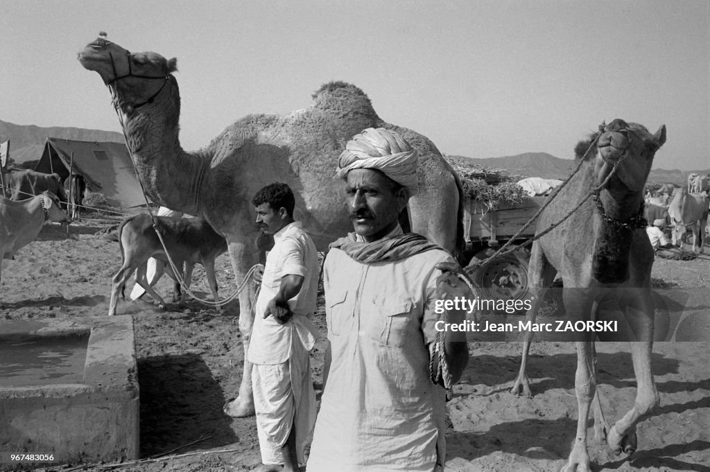 Foire aux chameaux à Pushkar 1982