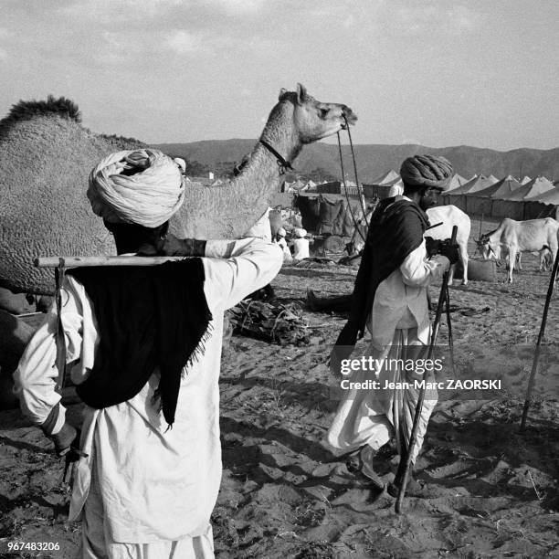 La foire aux chameaux, qui se déroule chaque année au mois d?octobre ou novembre, en fonction du calendrier lunaire hindou, dans cette petite ville...