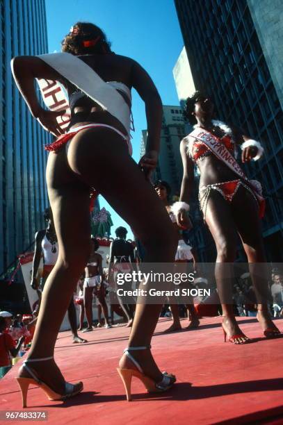 Brésil, état Rio de Janeiro, carnaval de Rio de Janeiro, défilé de rue//Brazil, Rio de Janeiro state, Rio de Janeiro carnival, street parade, circa...