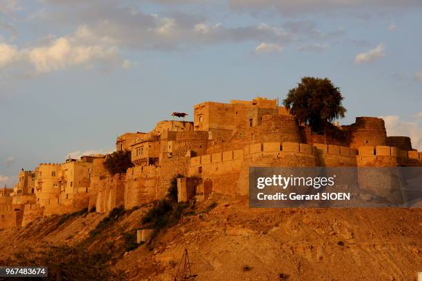 Inde, Rajasthan, region du Marwar, Jaisalmer, vue sur la citadelle et ses rempart. India, Rajasthan, Marwar region, Jaisalmer, view of the citadel...