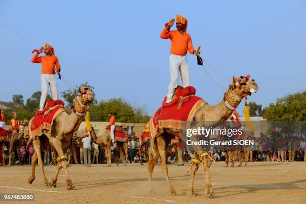 Inde, Rajasthan, region du Marwar, Jaisalmer, festival du Desert, spectacle des forces armees en dromadaire//India, Rajasthan, Marwar region,...