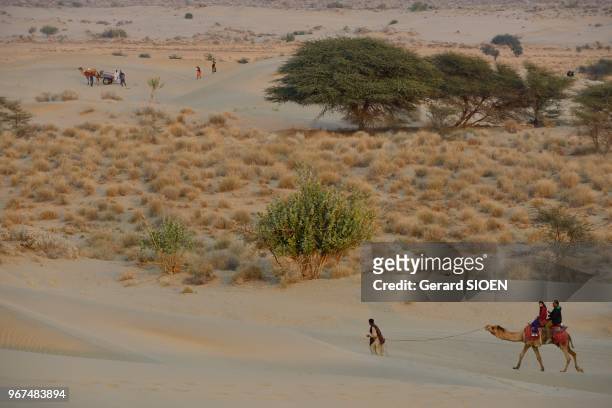 Inde, Rajasthan, region du Marwar, Jaisalmer , festival du Desert a Sam Sand Dunes, promenade en dromadaire dansles dunes//India, Rajasthan, Marwar...