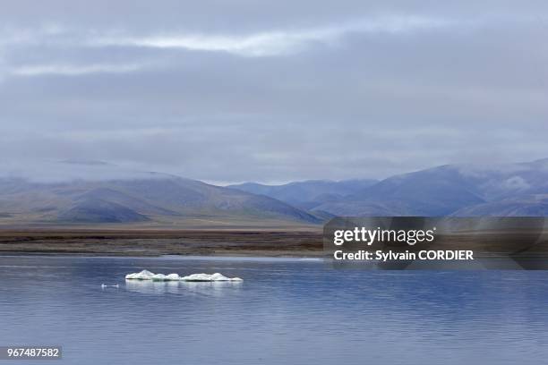 Federation de Russie, Province autonome de Chukotka, ile de Wrangel, Banquise, toundra au cap Euering. Russia, Chukotka autonomous district, Wrangel...