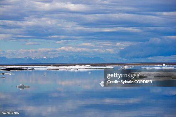 Etats Unis, Alaska, Refuge faunique national arctique, Kaktovik, Banquise, glace.