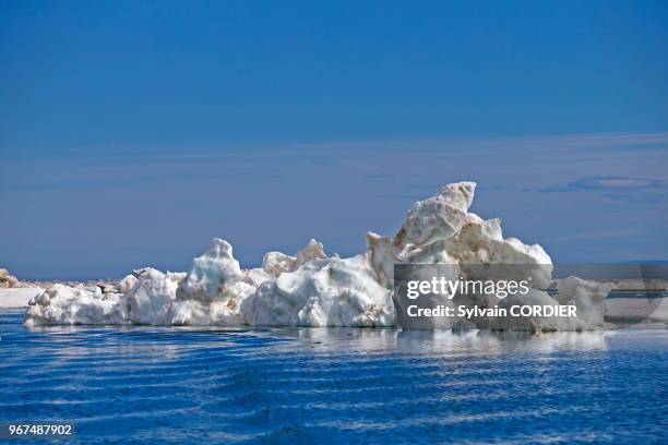 Etats Unis, Alaska, Refuge faunique national arctique, Kaktovik, Banquise, glace.