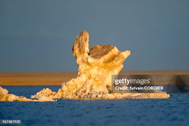 Etats Unis, Alaska, Refuge faunique national arctique, Kaktovik, Banquise, glace.