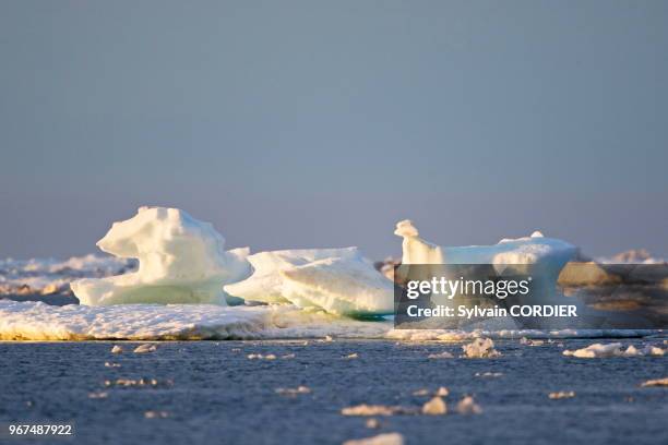 Etats Unis, Alaska, Refuge faunique national arctique, Kaktovik, Banquise, glace.