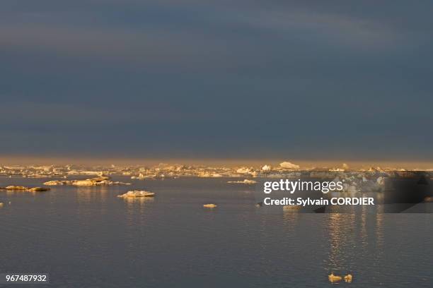 Etats Unis, Alaska, Refuge faunique national arctique, Kaktovik, Banquise, glace.