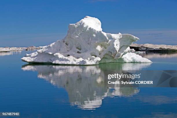 Etats Unis, Alaska, Refuge faunique national arctique, Kaktovik, Banquise, glace.