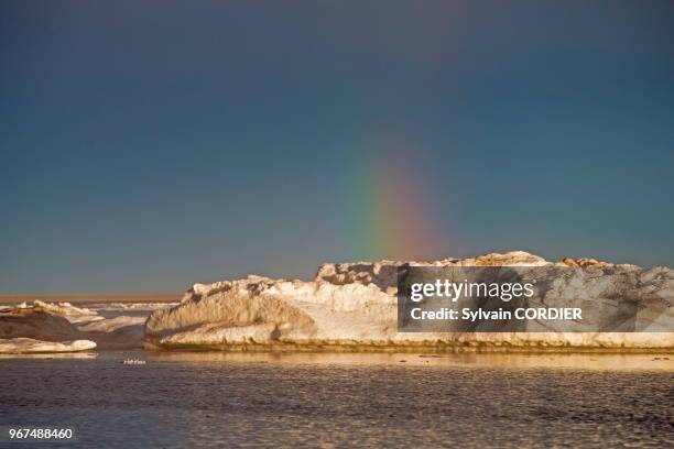 Etats Unis, Alaska, Refuge faunique national arctique, Kaktovik, Banquise, glace.