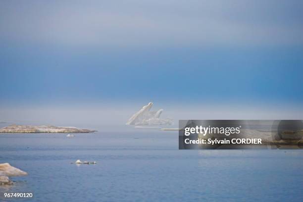 Etats Unis, Alaska, Refuge faunique national arctique, Kaktovik, Banquise, glace.