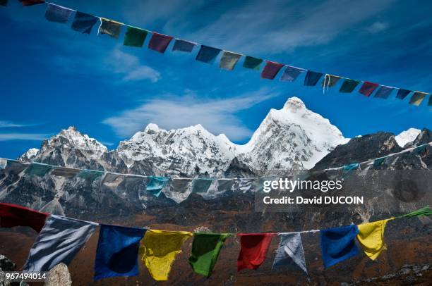 Jannu peak at 7711 m from Mirgin la from Tseram to Ghunsa, Kangchenjunga area, Taplejung district, Nepal.