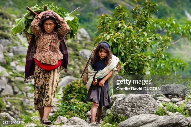 Rai woman, Simma village, Arun valley, Lumbasumba trek, in Makalu Barun national park, Sankhuwasabha district, Nepal.