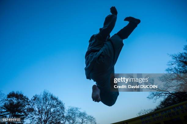 Lee Jun Ho, 25 years old Sunmodo master, 4th dan, practising since 11 years at Golgul temple and Sunmodo center near Gyeongju city, Gyeongsangbuk...