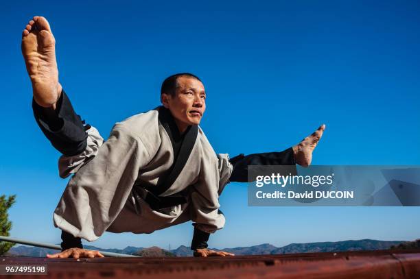 Chulan, 4th dan in Sumnodo, 44 years old, Golgul temple and Sunmodo center near Gyeongju city, Gyeongsangbuk province, South Korea.