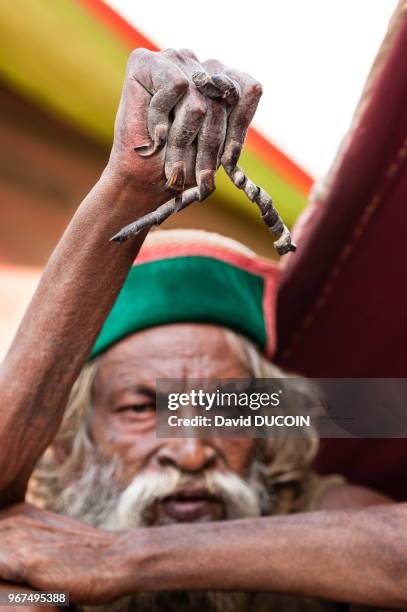 Amar Barthi de Akhara de Juna est un Naga sadhu qui a passé 32 ans le bras vers le haut, c'est l'une des plus extreme austérité de l'hindouisme,...