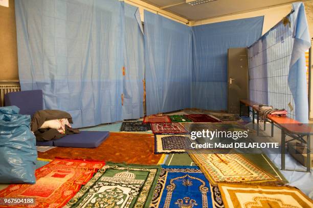 Intérieur d'une tente avec des tapis orientaux au sol dans une infrastructure d'accueil pour les réfugiés, 19 septembre 2015, Munich, Allemagne.