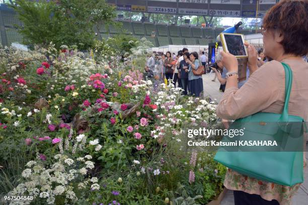 Environ un million de roses exposées du 16 au 17 mai 2015 lors de 'International Roses and Gardening Show' sur le terrain du stade de baseball 'Seibu...
