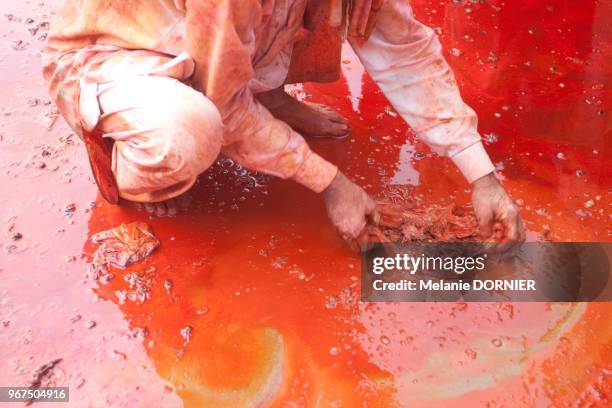 Les habitants de Nandgaon jouent Holi contre les habitants du village voisin dans leur temple le 18 mars 2016, Temple de Nandgaon, Vrindavan, Uttar...