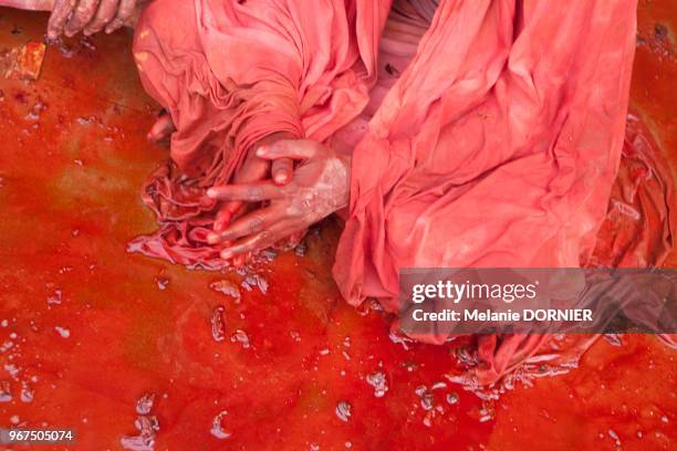 Les habitants de Nandgaon jouent Holi contre les habitants du village voisin dans leur temple le 18 mars 2016, Temple de Nandgaon, Vrindavan, Uttar...