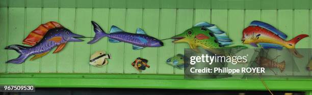 Fish shop in Belize, central america.