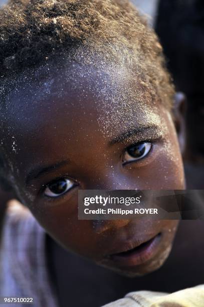 Nosy Ratsy 2,543 Philippe Royer Stock Photos, High-Res Pictures, and Images ...